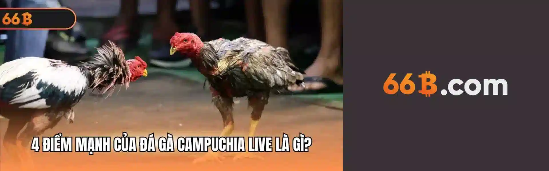 Hoàn trả tức thời không giới hạn lên đến 3%