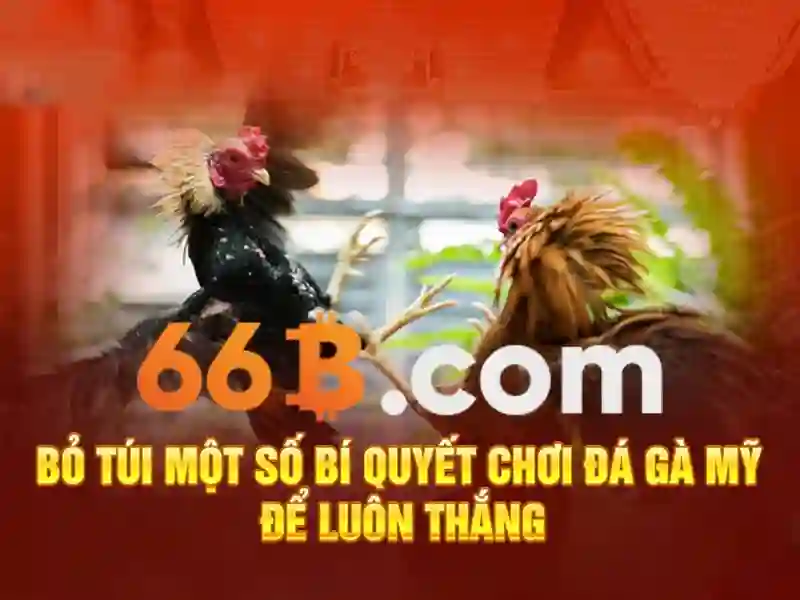 Cách đo vòng ngực để xác định 66B