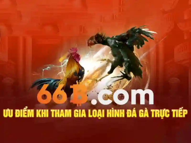 66B: Mô hình ngôn ngữ 66 tỷ tham số và tác động của nó