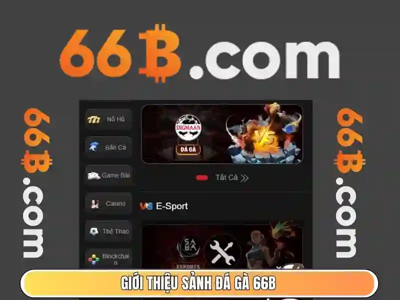 66b là gì?