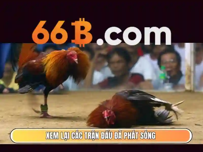 Khám phá mô hình 66b: hướng tới AI quy mô lớn cho doanh nghiệp