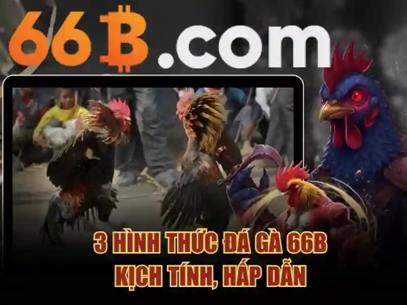 Kiến trúc và đặc điểm nổi bật của 66b