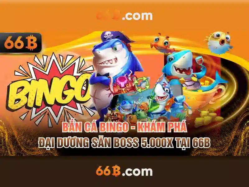 66B là gì và những điều cần biết