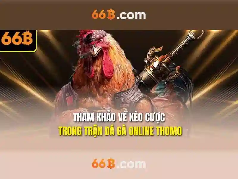 Kiến trúc và kích thước