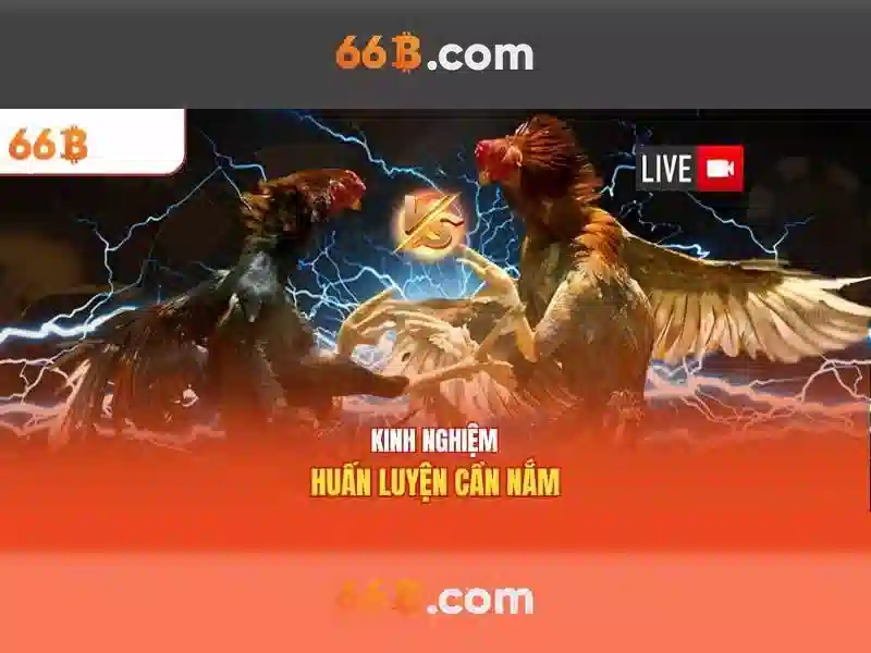 Khám phá 66b: một khái niệm và ứng dụng
