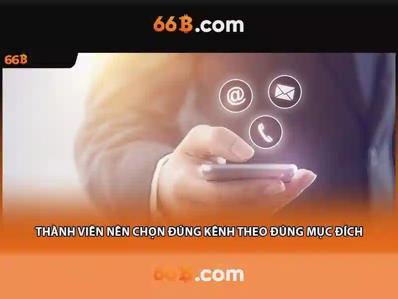 Kiến trúc và quy mô