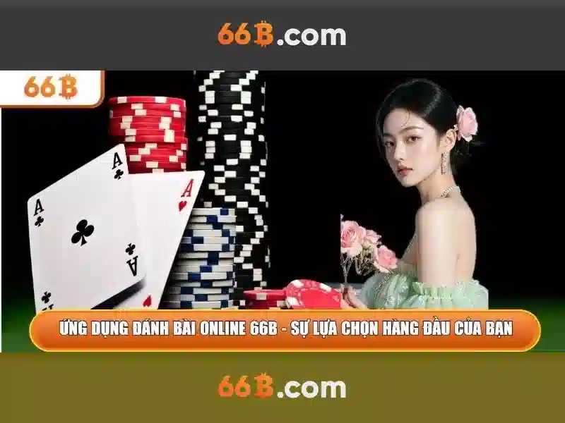 66b là gì? Khái niệm, nguồn gốc và ứng dụng