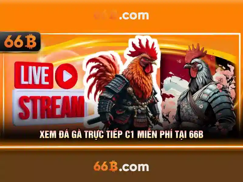 66b vip – Tổng quan chủ đề và giá trị cốt lõi
