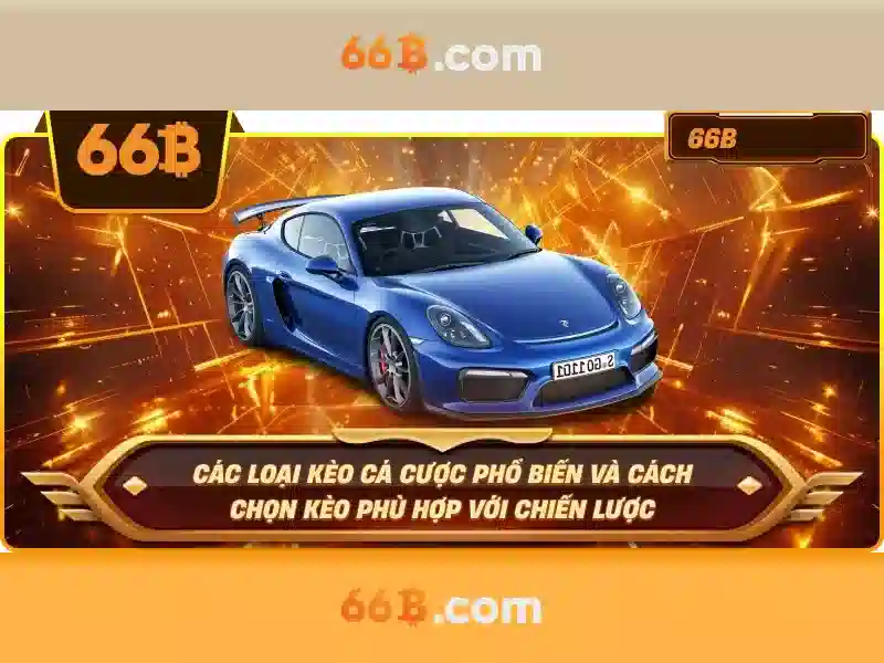 loods 66b – Trải nghiệm và khuyến mãi 66b