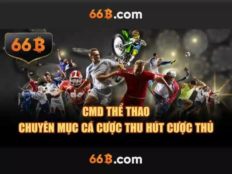 ngõ 66b triều khúc: hành trình thương hiệu và trải nghiệm opt-66b