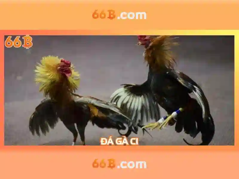Ứng dụng và thách thức