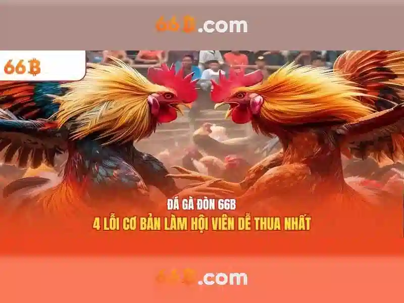66b an toàn không – Tổng quan và Cam kết Chất lượng