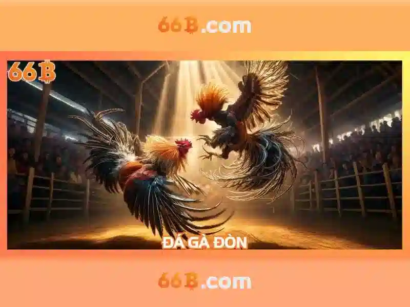 Kiến trúc và khả năng của 66B