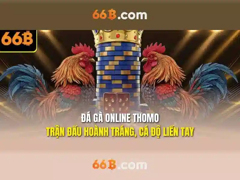 Tương lai và thách thức của 66b