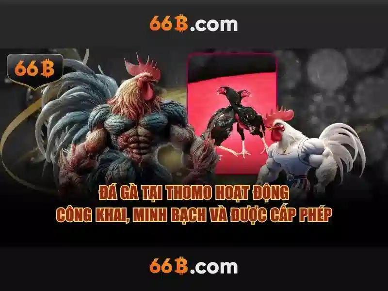66b đỗ quang – Hành trình thương hiệu và trải nghiệm