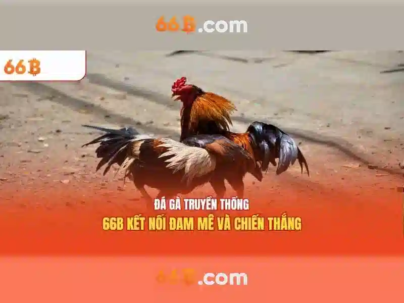 66b trong thực tế: Kích thước, đặc điểm và ứng dụng