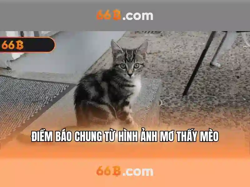 66B: Một mô hình ngôn ngữ 66 tỷ tham số và ứng dụng của nó