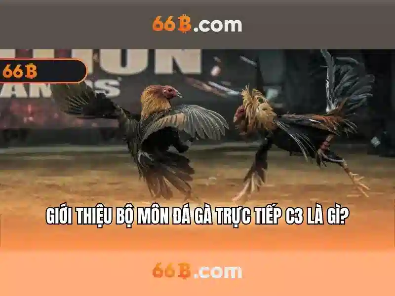 66B: một mô hình ngôn ngữ ở quy mô vừa phải cho doanh nghiệp