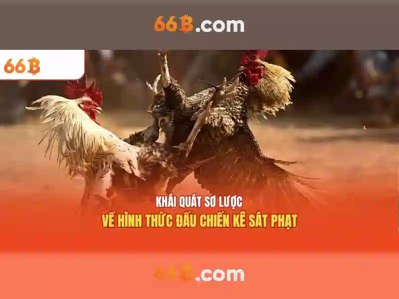 Khái niệm cơ bản về 66B