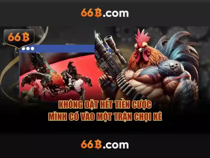 66b trong dữ liệu và tối ưu hóa hệ thống