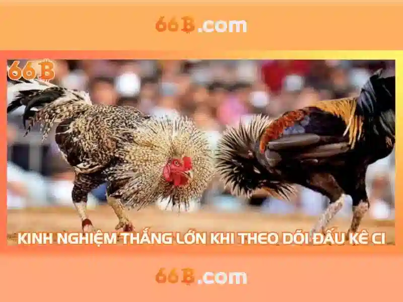 66b: Ý nghĩa và ứng dụng