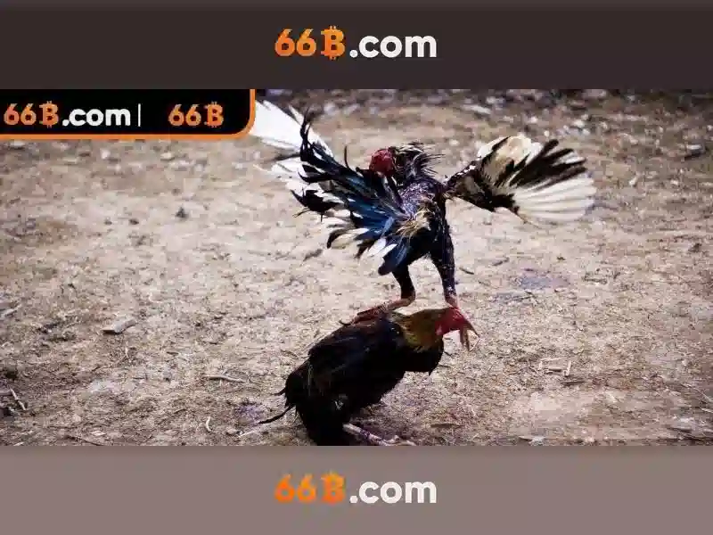 Kích thước và ảnh hưởng