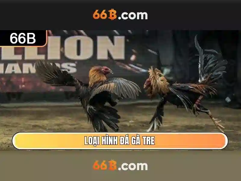 66b: hiểu biết và ứng dụng