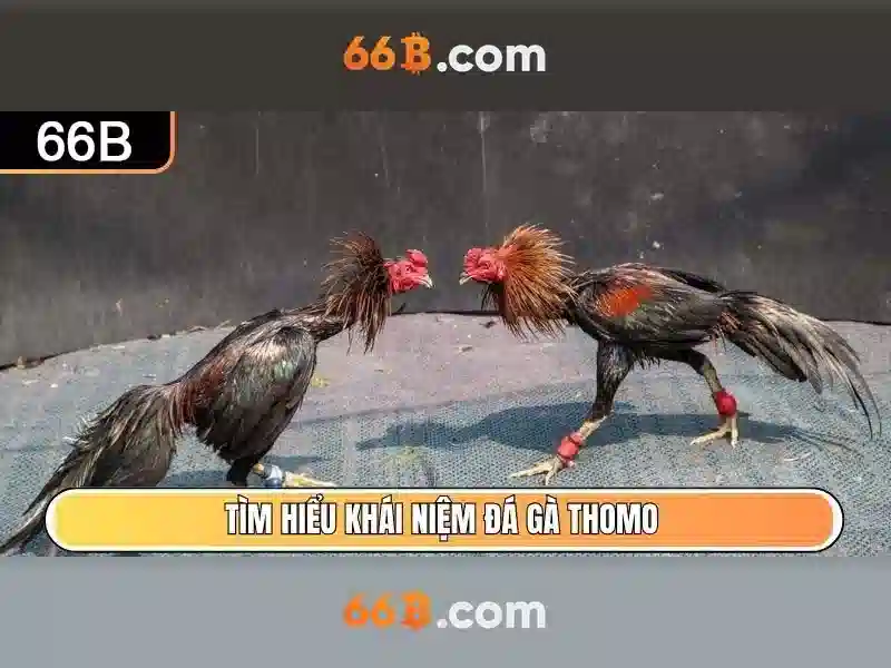 Lợi thế và thách thức của 66B