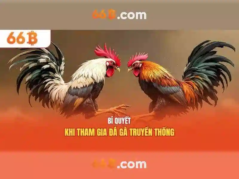 66b trong công nghệ: khái niệm và ứng dụng