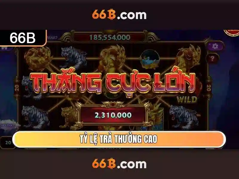 66B là gì và nguồn gốc