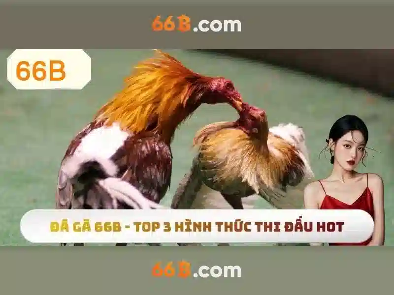 66B: Mô hình ngôn ngữ lớn và tác động của nó