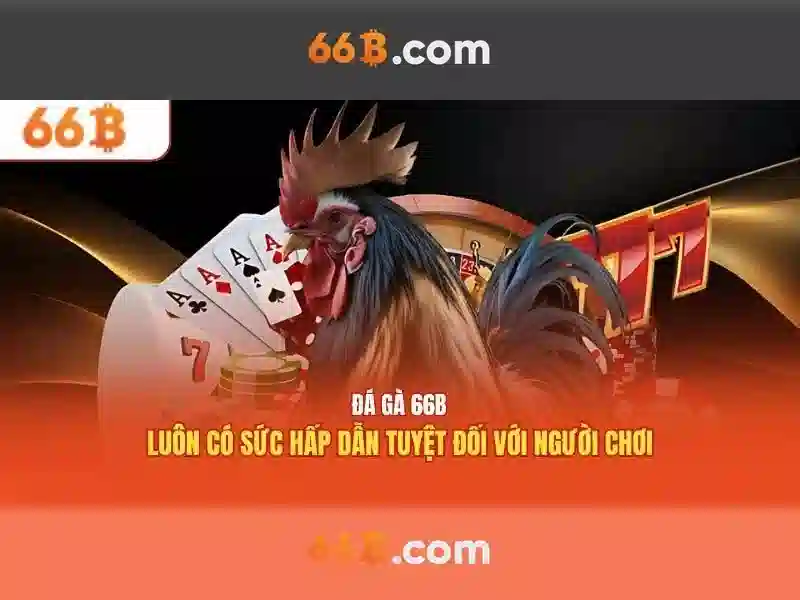 Đặc điểm chính của 66b