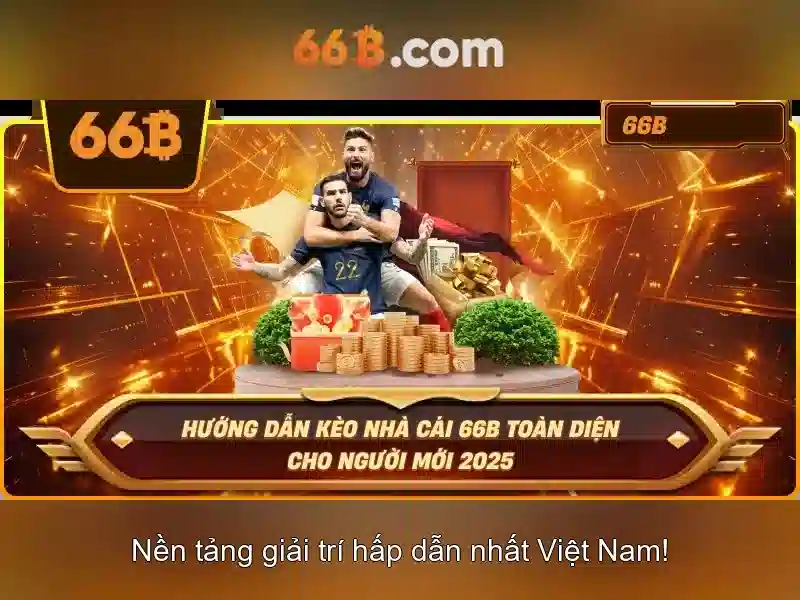 66b: Tổng quan và ứng dụng