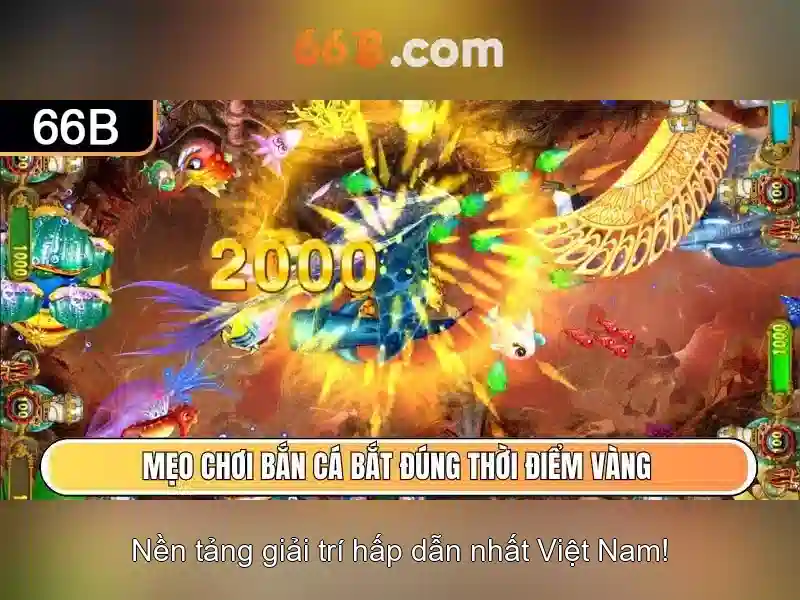 Giới thiệu về 66B