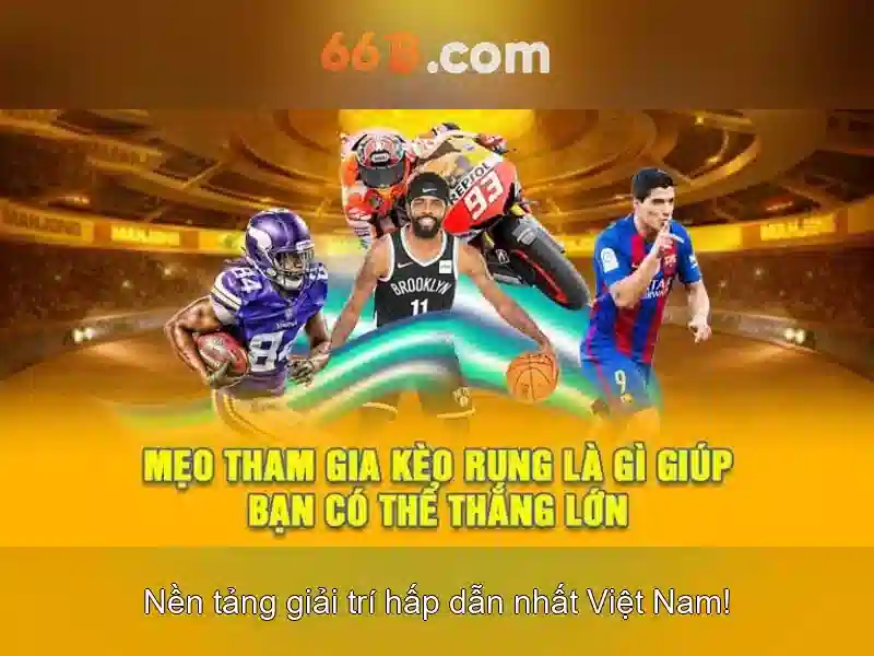 Kiến trúc và kích thước