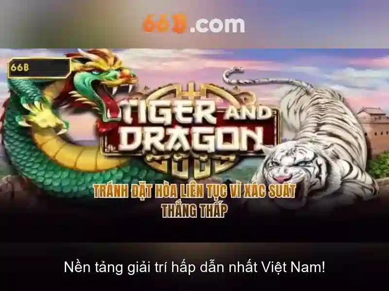 66B: Giới thiệu, kiến trúc và tiềm năng