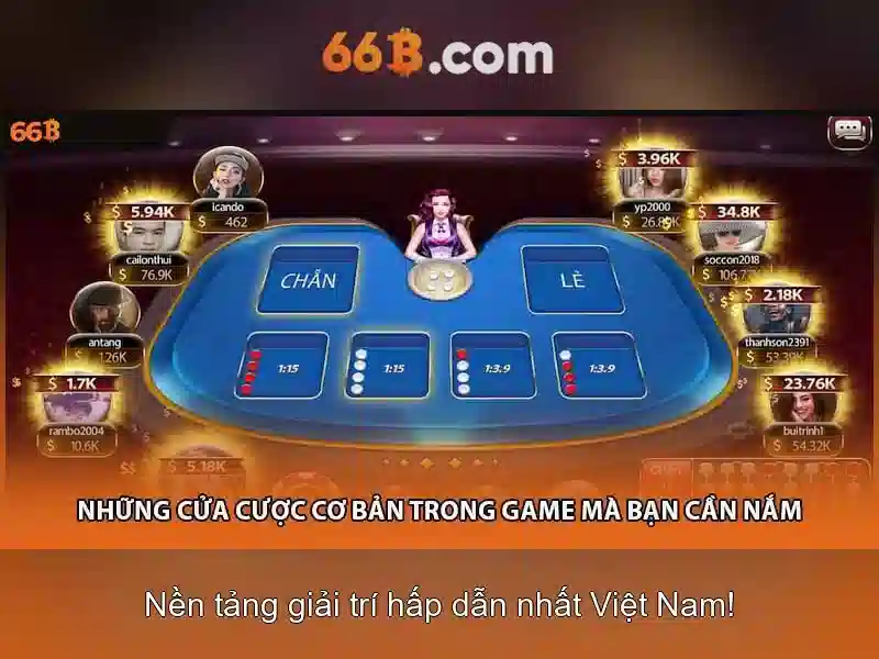 66b: một khái niệm và câu chuyện đáng chú ý