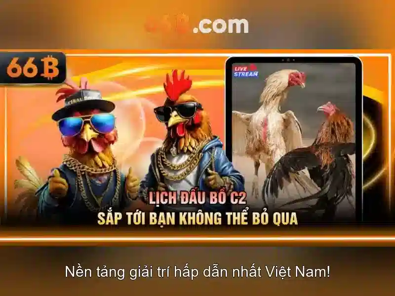 66b: một ký hiệu và câu chuyện của nó
