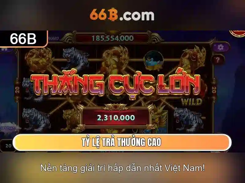 66b: một khái niệm đa dụng trong nhiều lĩnh vực