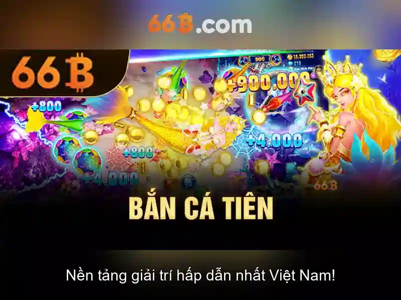 Khái niệm 66b và ứng dụng trong thiết kế