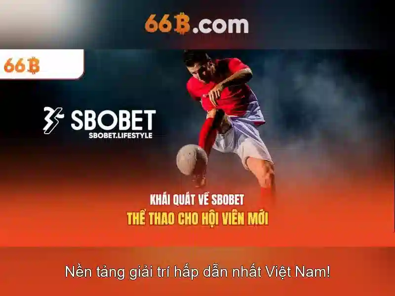 66b là gì và nguồn gốc