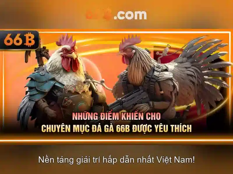 66b ra đời