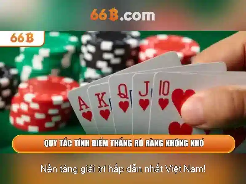 66b là gì? Sự mê hoặc của một ký hiệu công nghệ