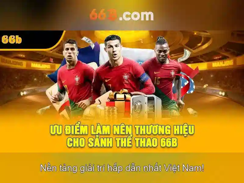 66b trong đời sống số và xã hội