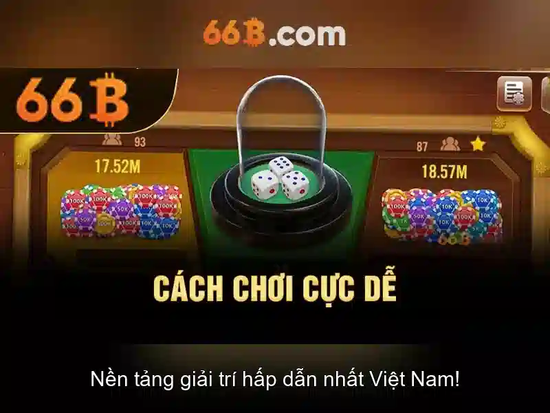 Giới thiệu về 66B