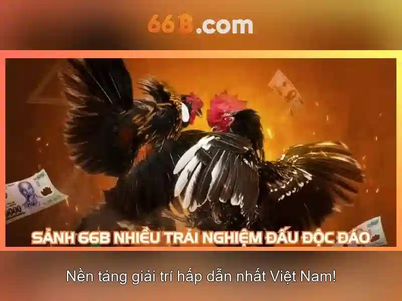 66b: một cái nhìn tổng quan về ký hiệu và mẫu chuỗi
