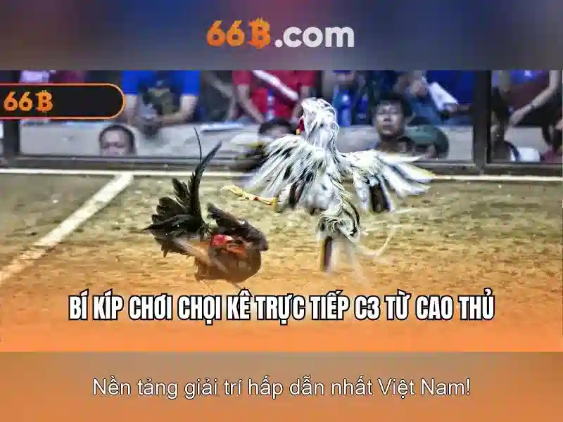 66B: Mô hình ngôn ngữ quy mô 66 tỉ tham số