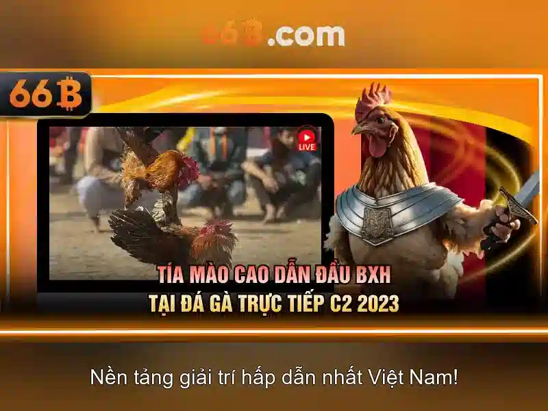 Kết luận