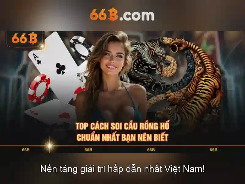 66b: Khái niệm, ứng dụng và ảnh hưởng