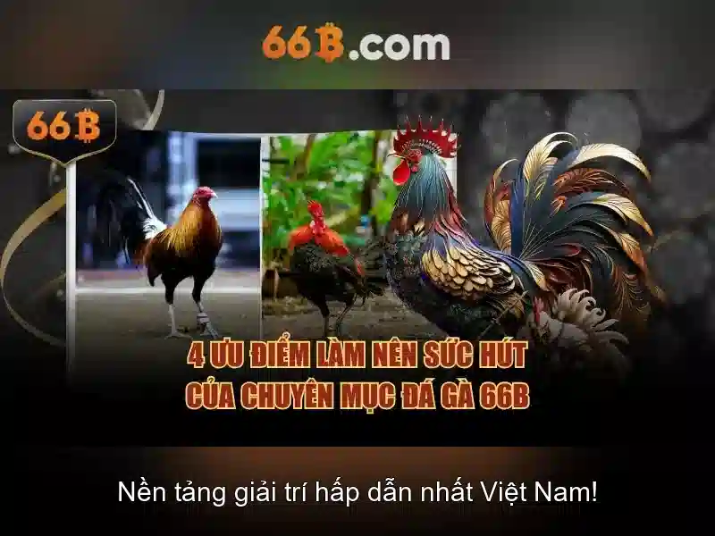 66b: Mô hình ngôn ngữ quy mô 66 tỷ tham số
